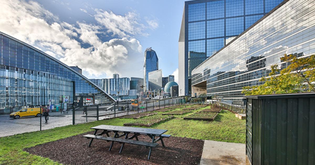 Paris La Défense: Student Permagarden Blooms